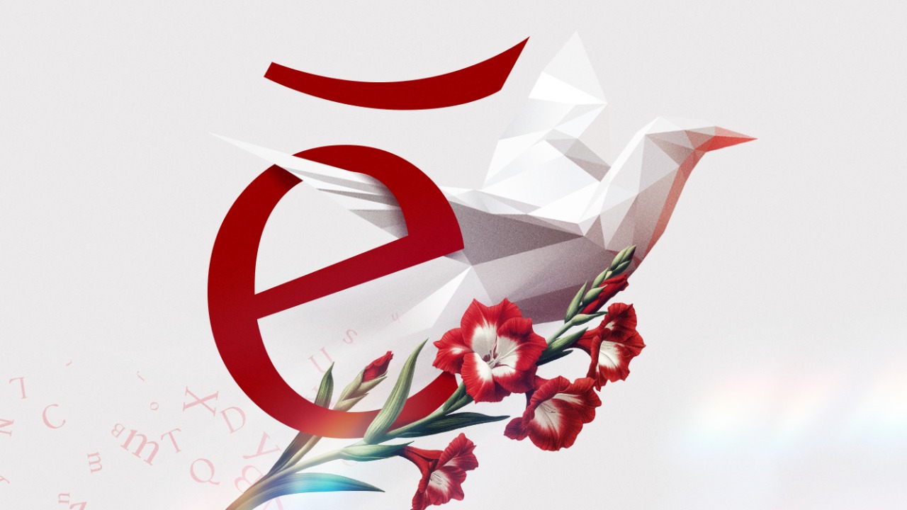 Imagem destaque do blog